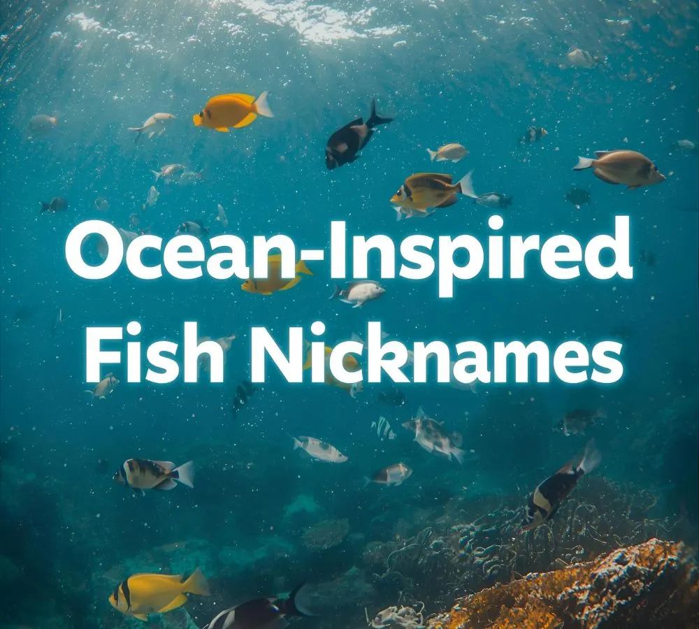Ocean-Inspired Fish Nicknames