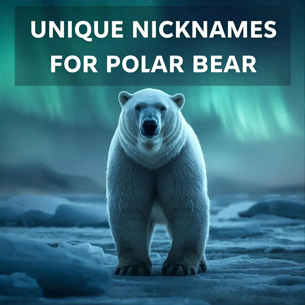 Unique Nicknames