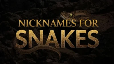 Nicknames For Snakes