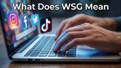 What Does WSG Mean